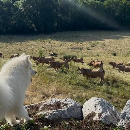 Vakantiehuis Maison Chez La Malie *